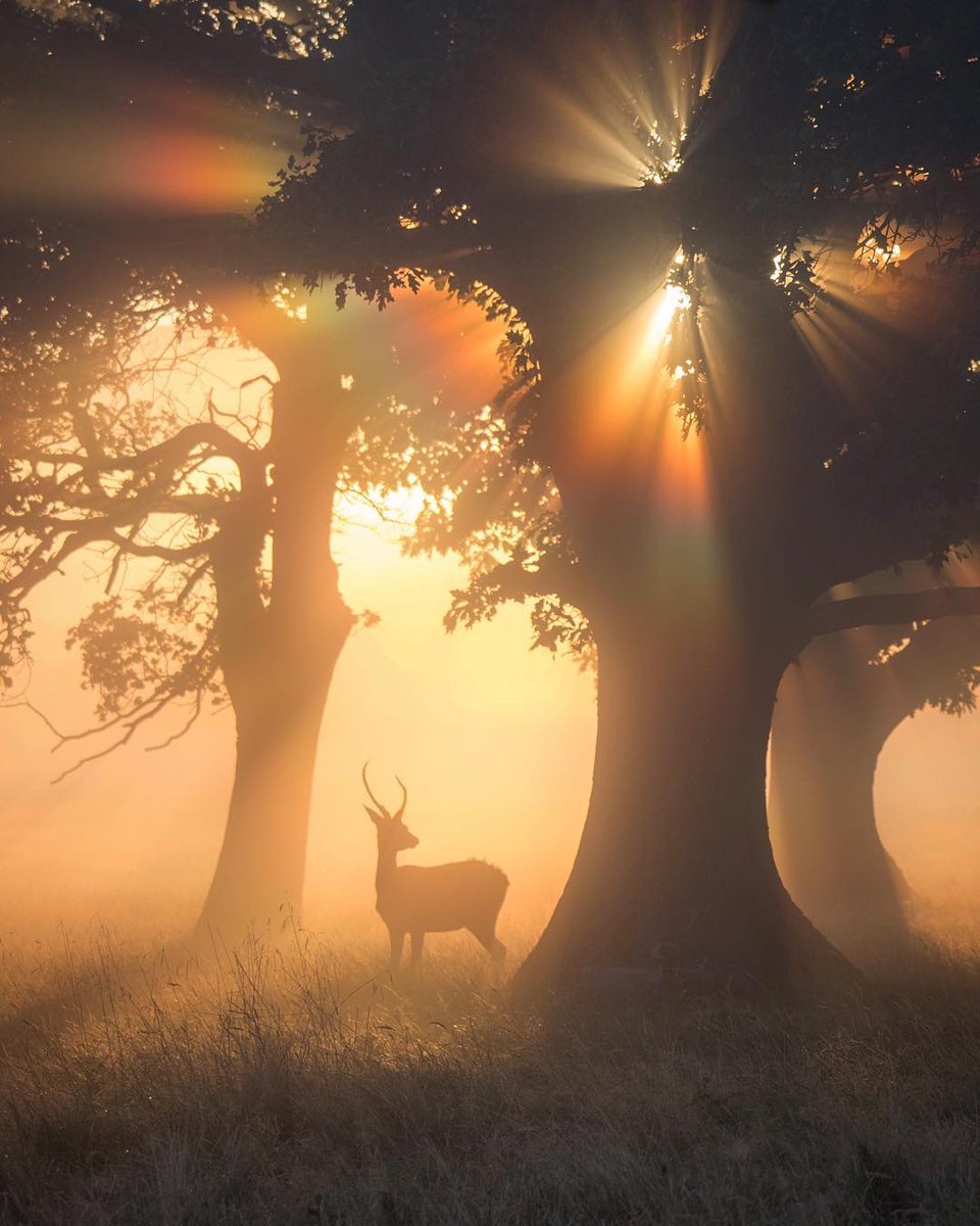 You are deserving of everything.