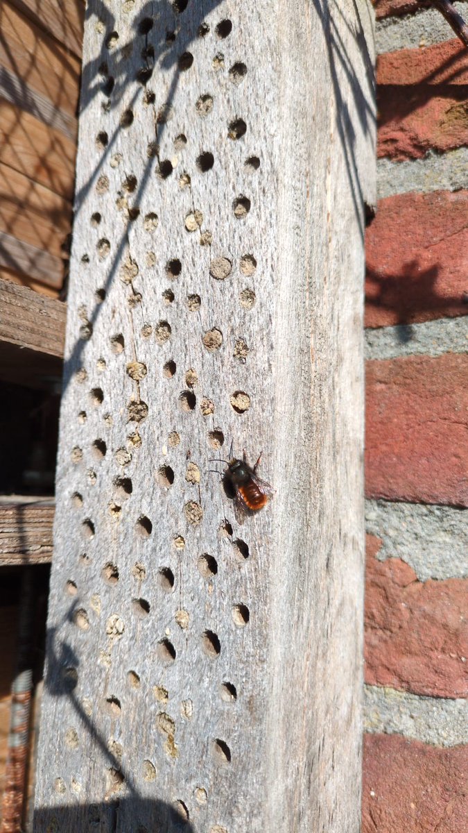 Eersteling gesignaleerd 😁