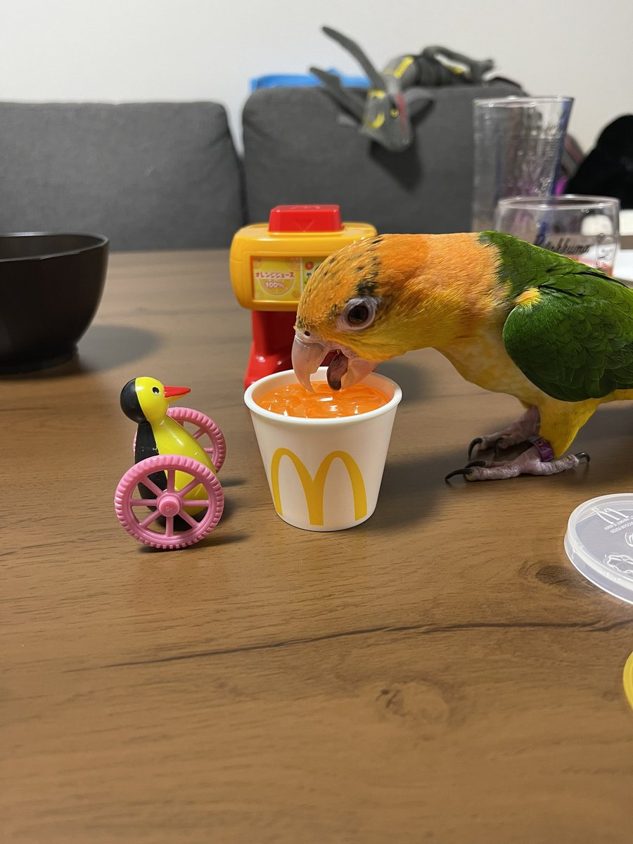 お姉ちゃんとマクドナルド嬉しいナァ