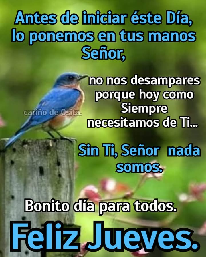 BUENOS DÍAS AMÉN 🙏<a href="/cencarnacion68/">Celia🙏🏽🙌🏽🛩🍷🇩🇴🇺🇸</a> <a href="/jpeguerop/">Julio Peguero</a> <a href="/ceciliamatosb/">@CeciMatos🇩🇴♥️🇩🇴</a> <a href="/JennyRogers1310/">Madame Rogers 💅😌🌺💙🦋</a> <a href="/JoseOLeger/">José Osvaldo Leger</a> <a href="/e_yeisy/">Yeisy_E_Medina</a> <a href="/JosdeJessHerre9/">Josè de Jesús Herrera Franco</a> <a href="/ThelmoLozano1/">Thelmo Lozano</a> <a href="/JoselineConcep3/">Joseline Concepcion</a> <a href="/MariaElena1760/">Maria Elena</a> <a href="/FranklinPe15821/">☕☕☕</a> <a href="/olgacabrera6/">dracabrera2010</a> <a href="/marianaalmonte/">Mariana Almonte</a> <a href="/elviejomode/">modesto 🦉 !!</a> <a href="/Pao_Glez01/">𝗣𝗮𝗼𝗹𝗮 𝗚𝗼𝗻𝘇𝗮́𝗹𝗲𝘇 🌻𓂃ᥫ᭡</a> <a href="/RicardoMilagros/">Milagros Ricardo</a> <a href="/EvelinPlacidoAl/">Evelin Placido-Almon</a>