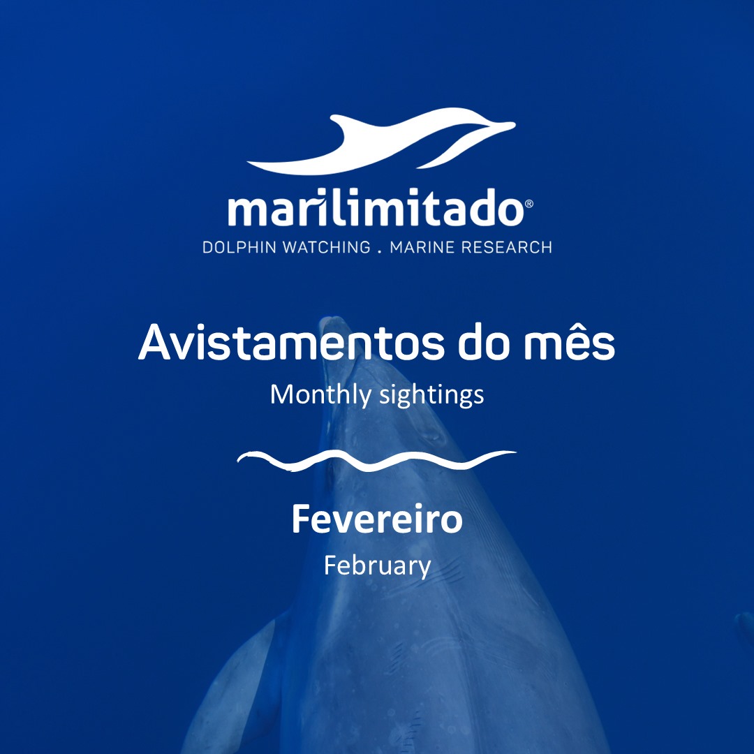 MAR ILIMITADO (@MARILIMITADO) / Posts / X
