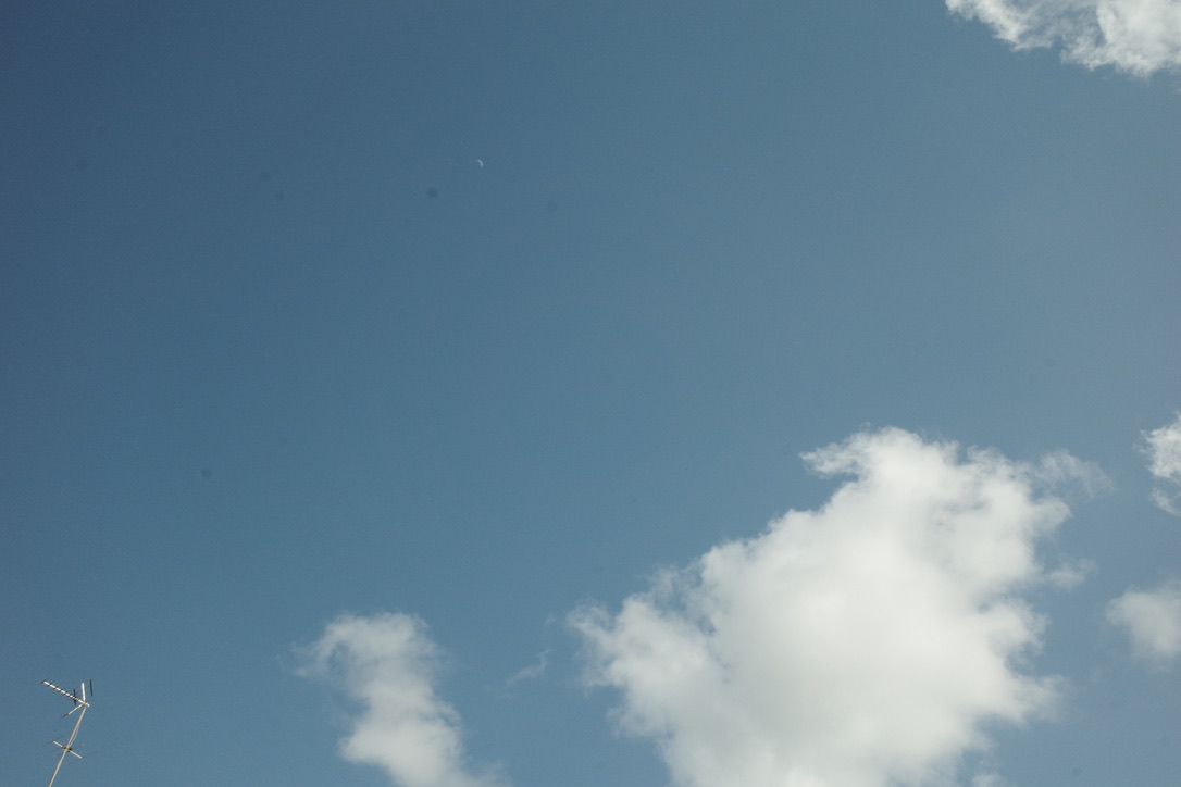 Opened my Ricoh GRIII

Too much dust on the sensor that was compromising the final image quality. Scary but fun. A few dust spots are still there, but it’s way better now. Before and after below