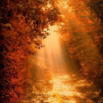 #leoescuchate #infpeace
 escuchate.es
#peace
amzn.to/2TaUait