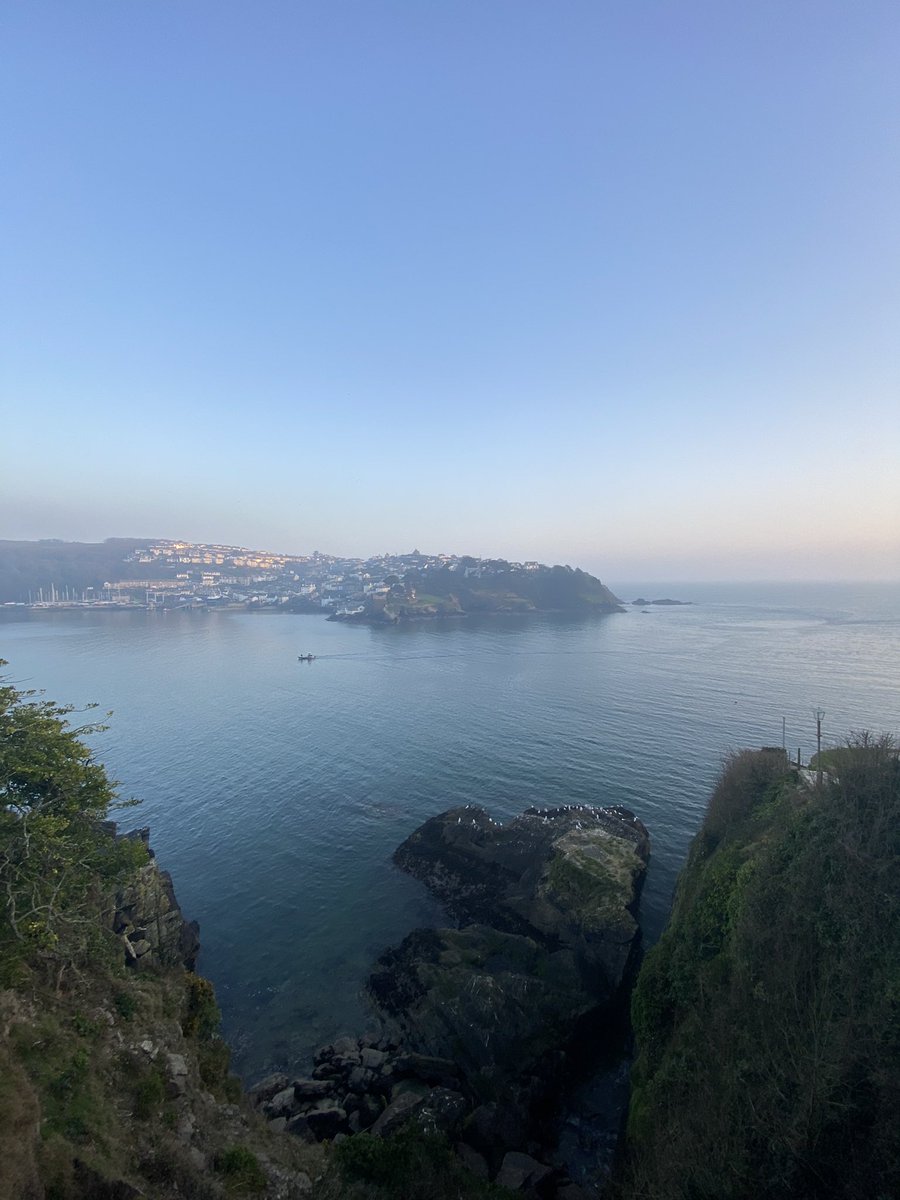 Alessandra Ferrelli tweet media