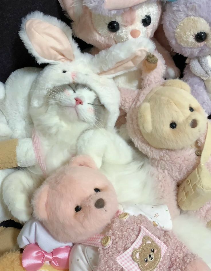 smallcutekitten's tweet image. 