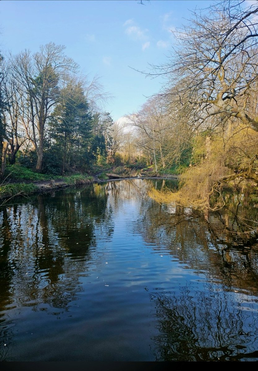 Lovely spring walk this morning!