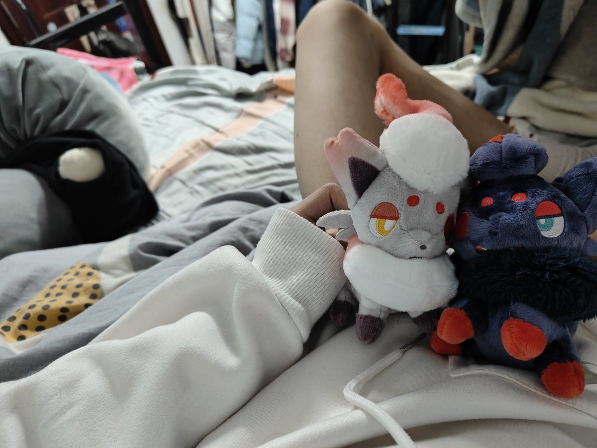 小羊先森 tweet media