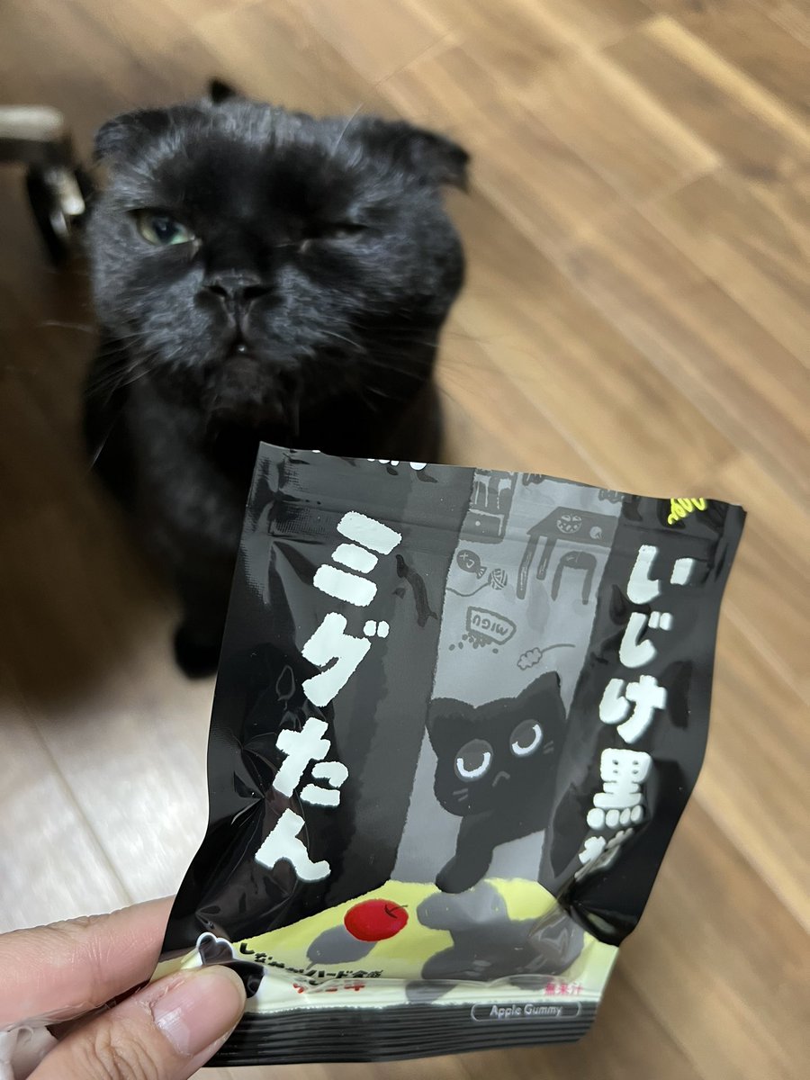 ace_guri's tweet photo. にてる？ https://t.co/5PEEUidHdt