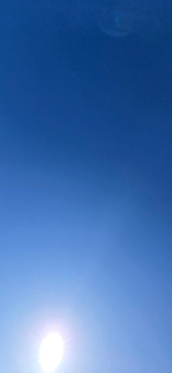 Demo2020cracy's tweet image. Normal jet traffic today. 🤔