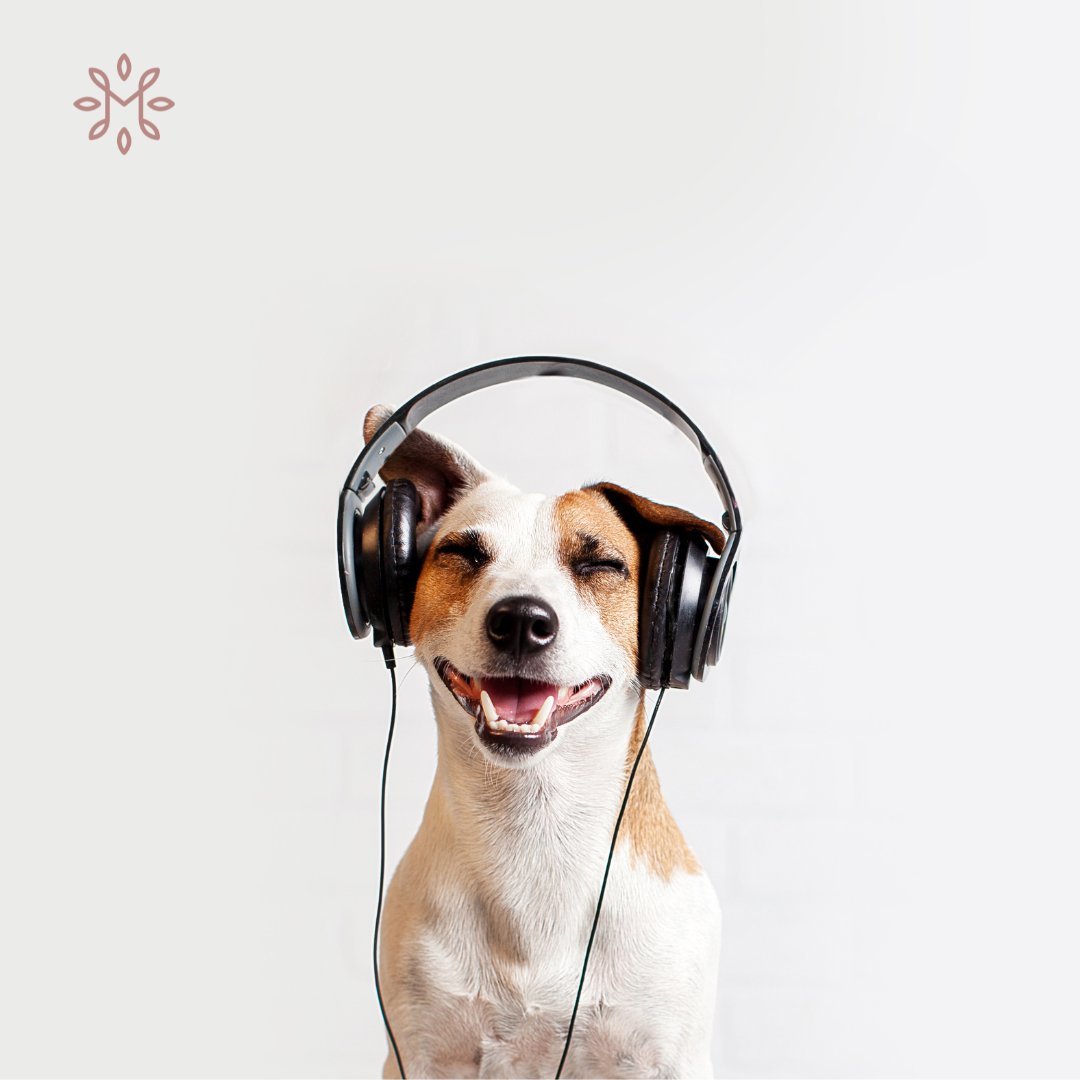 Catch Up on What’s Your Why? – Season 2 So Far 🎙️

🎧 Ep 4: Dr Anne Katrin Schlag
🎧 Ep 3: Dr Niraj Singh 
🎧 Ep 2: Sophie Gamwell 
🎧 Ep 1: Ricardo Geada 

📲 Listen &amp; subscribe on your favourite podcast app or stream here: mapletreeconsultants.co.uk/podcast