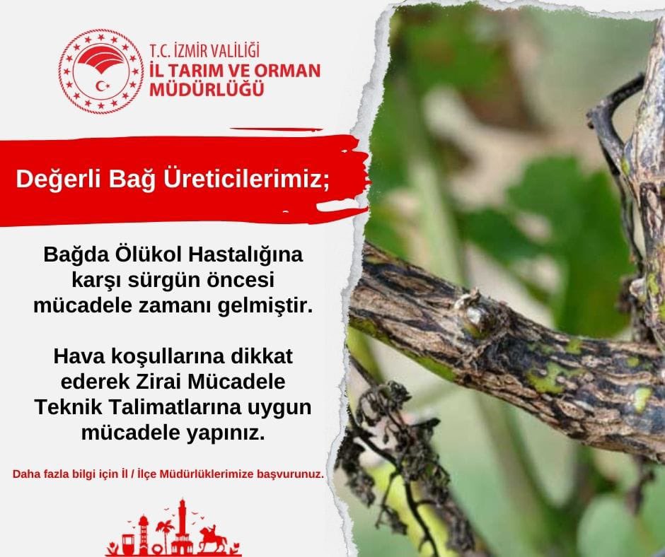 📣 Duyuru❗️

<a href="/TCTarim/">T.C. Tarım ve Orman Bakanlığı</a>