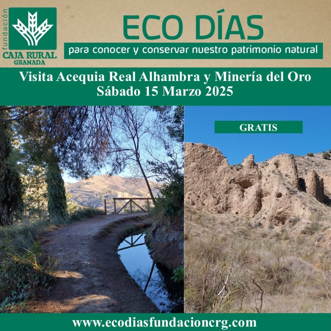 IDEAgranada's tweet photo. ATENCIÓN. La visita guiada Acequia Real de la Alhambra y Minería del Oro prevista para este sábado se ha aplazado hasta el próximo sábado 15 de marzo por la lluvia. Te dejamos el enlace para informarte e inscribirte (quedan muy pocas plazas disponibles) https://t.co/4rtMHcRBXK https://t.co/nMukGZfwyZ
