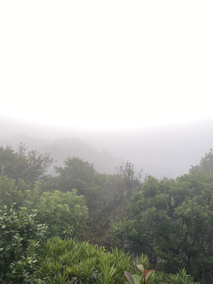 3/5
#日常垢 
霧すごい