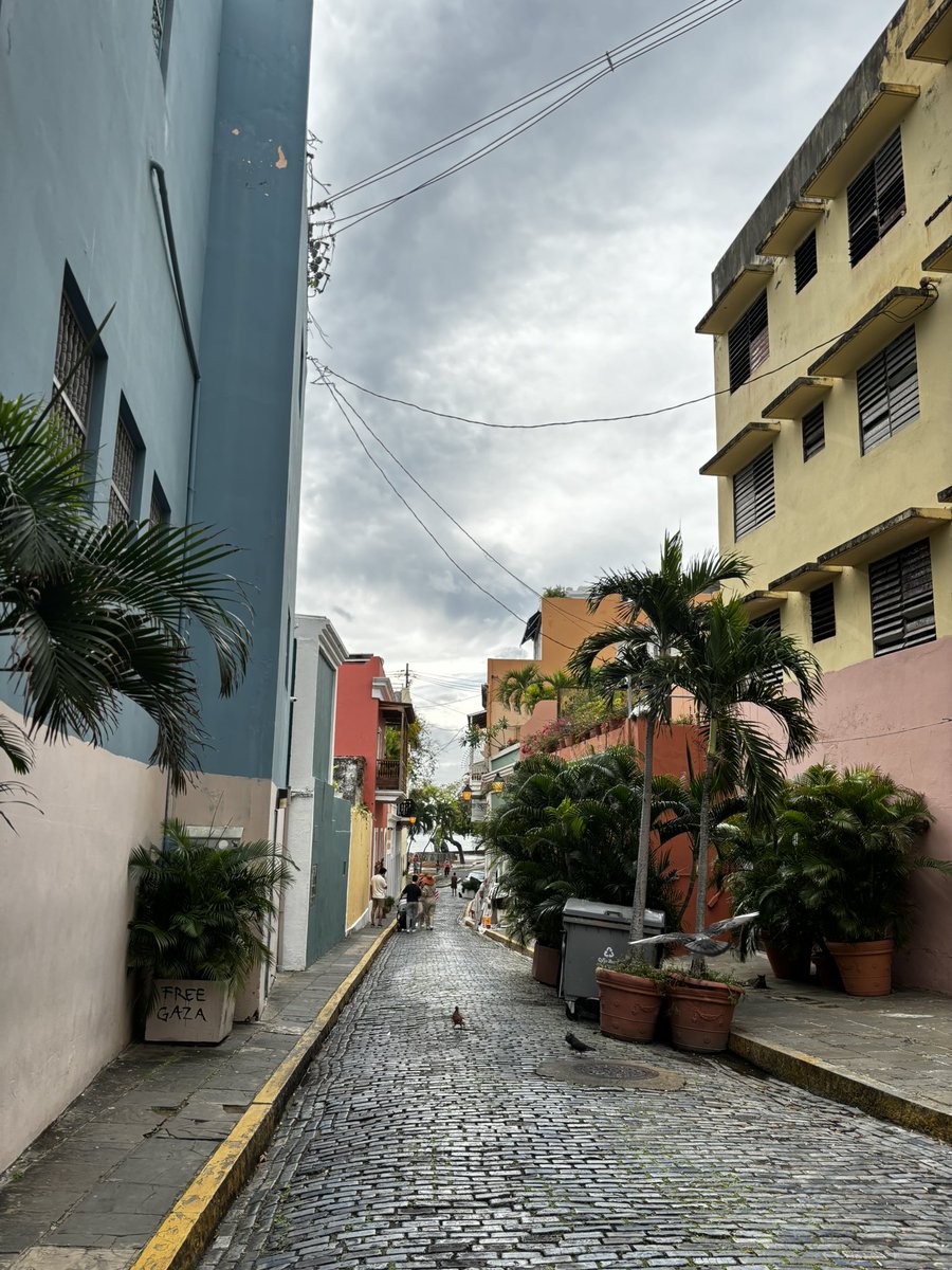 🇵🇷