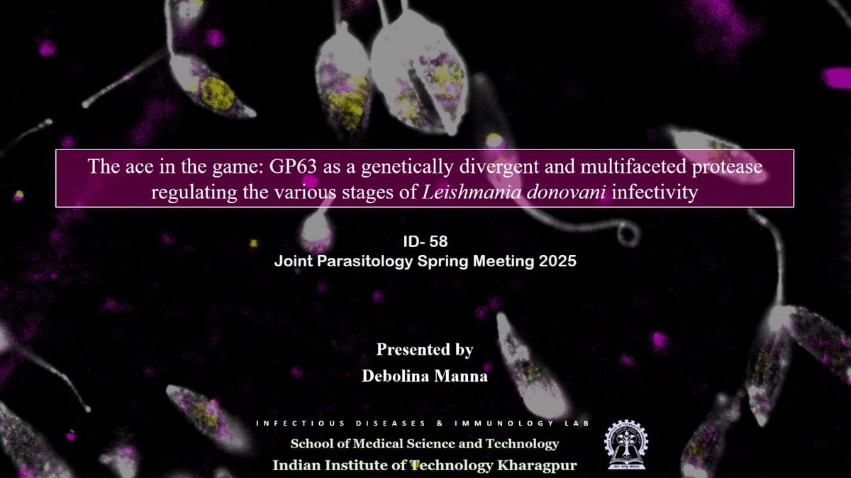 Budhaditya Mukherjee (@budhadityamukh9) on Twitter photo We are happy to share <a href="/debolina95/">Debolina Manna</a> from #IDI lab will be giving an oral presentation in the #jointparasitologymeeting Wurzburg Germany on 11th. If you are attending please stop by. I can assure this will be impressive and interesting! <a href="/BSPparasitology/">British Society for Parasitology</a> <a href="/herminthology/">Herminthology</a> <a href="/SMSTIITKGP/">School of Medical Science and Technology</a> We are happy to share <a href="/debolina95/">Debolina Manna</a> from #IDI lab will be giving an oral presentation in the #jointparasitologymeeting Wurzburg Germany on 11th. If you are attending please stop by. I can assure this will be impressive and interesting! <a href="/BSPparasitology/">British Society for Parasitology</a> <a href="/herminthology/">Herminthology</a> <a href="/SMSTIITKGP/">School of Medical Science and Technology</a>