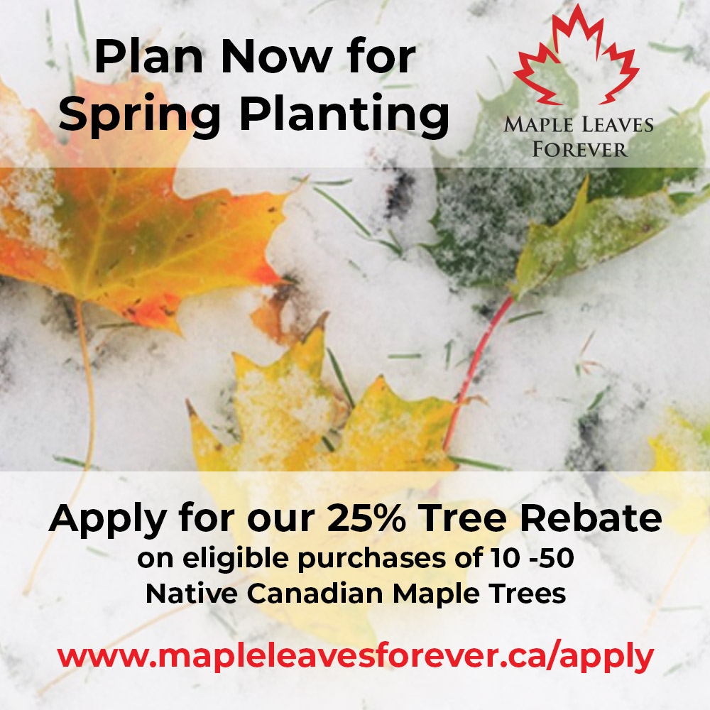 Rebate Applications are now open for Spring planting - get 25% back on Native Maples purchased from our partner nurseries until May 15th! 
zurl.co/uc80N