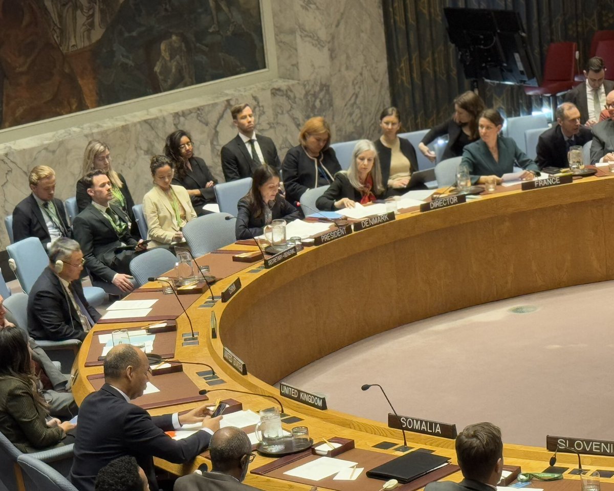 Denmark thanks CSO-briefer, Nesmah Mansoor Ali, for briefing the #UNSC today on climate, peace and security in Yemen.

We call for further efforts to ensure climate considerations are integrated into peacebuilding strategies, local mediation &amp; future peace settlement process.