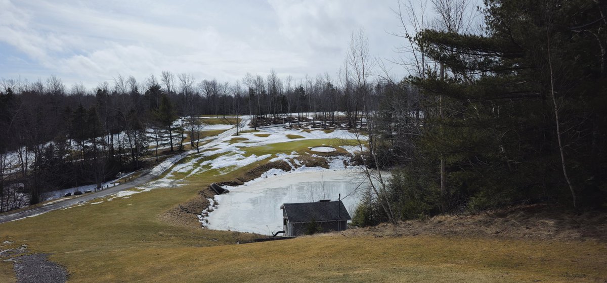 Erik MacPherson tweet media