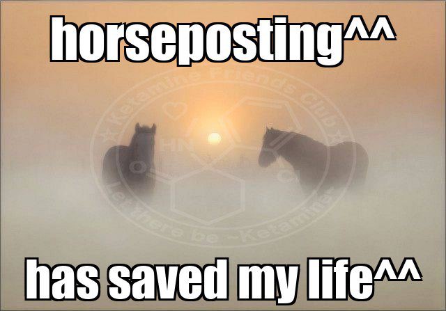 KFC_onSol's tweet photo. Oh, btw! we want to give you some of the supply :333

The rules are simple 
🐴🪽🩵 $KFC
1) horsepost and TAG us!

We will keep track of who does what
and how culturally significant it becomes
There are Ketamine Friendly Points (KFP) and at the end we would airdrop all the contributors part of the supply^^🩵🫶

This is contribution airdop wave №1^^🪽
The results would be announced on the day of spring equinox, March 20th
 
Now, what exactly horseposting is:

It ranges between sharing your philosophical thoughts with a horse picture attached; Making and sharing memetic cultrue (you can use our telegram meme bot simply by tagging @ ketaminiser6900_bot, attaching a picture and then writing text you want to input, starting at a new line for bottom text); Making videos/edits capturing the $KFC aesthetic and values or any other ways of generating culture! Including making music or DJ sets for $KFC ! :33 we want you to go full creative!!🩵🐴🪽

Extra points would be given if you have horse-affiliated symbols/avatar/cover on your profile, good example of this is @y_corp_ok 's profile :3 🩵

We want to spread the aesthetic further
we are on a pilgrimage, a crusade mission for the sake of $KFC, spreading kindness and bliss to the mass^^ 🩵〜∩^ω^∩
We have encountered SO many creative peoppe associated with our community 
And now, want to motivate YOU to create!!!〜 communal culture generation is the most precious part of this community </3
And also we just love you guys and want to say thank you by giving some of the supply :33

Let the clock start! 🐴🪽🩵
