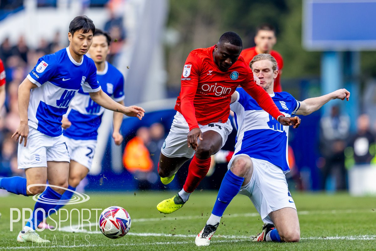 MSN Images tweet media