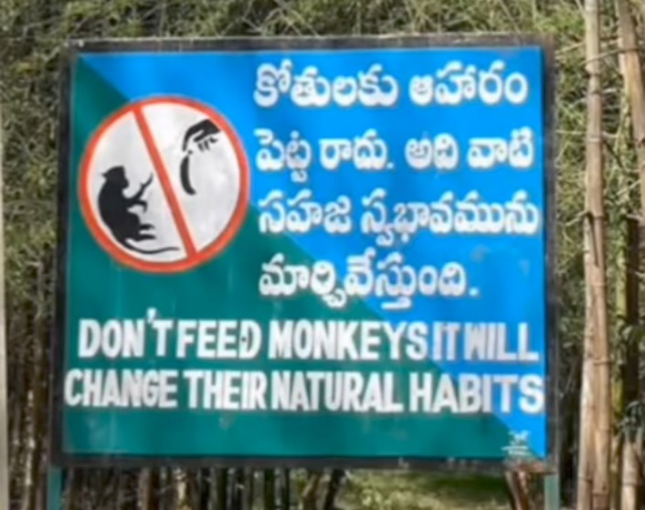 GlX8wNOWAAAGpta?format=jpg&name=900x900