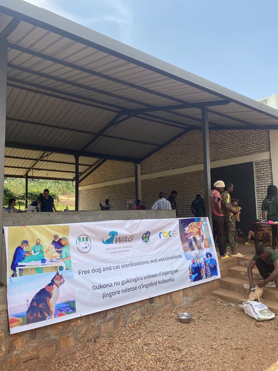 WAG Rwanda (@wagrwanda) on Twitter photo Today we are in Rwinkwavu, Kayonza District! Providing essential services to improve the health of animals and humans together with <a href="/RwandaAgriBoard/">Rwanda Agriculture & Animal Resources Devpt Board</a> and the Foundation for Veterinary Aid Intl 🙌🐕 Today we are in Rwinkwavu, Kayonza District! Providing essential services to improve the health of animals and humans together with <a href="/RwandaAgriBoard/">Rwanda Agriculture & Animal Resources Devpt Board</a> and the Foundation for Veterinary Aid Intl 🙌🐕