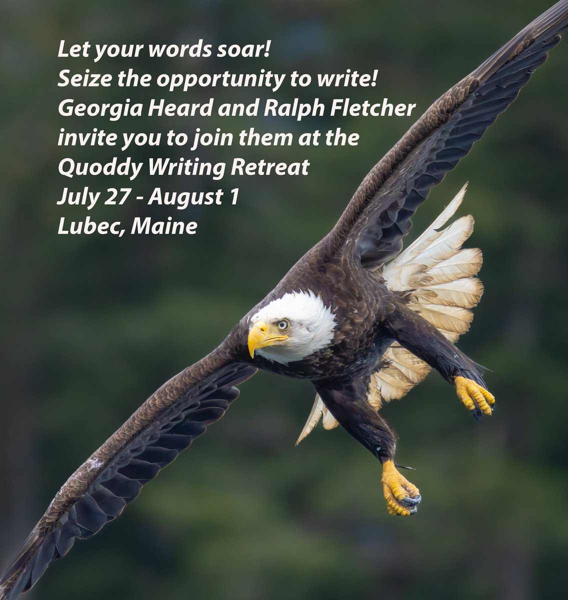 Ralph Fletcher (@writerralph17) on Twitter photo Got a writing itch you want to scratch? Join Georgia Heard and me for the Quoddy Writing Retreat in Lubec, Maine. July 27 through Aug. 1 We have 7 spaces left. For more info:
ralphfletcherbooks.com/quoddy-writing…
DM me or shoot me an email if you're interested: figpudding@gmail.com Got a writing itch you want to scratch? Join Georgia Heard and me for the Quoddy Writing Retreat in Lubec, Maine. July 27 through Aug. 1 We have 7 spaces left. For more info:
ralphfletcherbooks.com/quoddy-writing…
DM me or shoot me an email if you're interested: figpudding@gmail.com