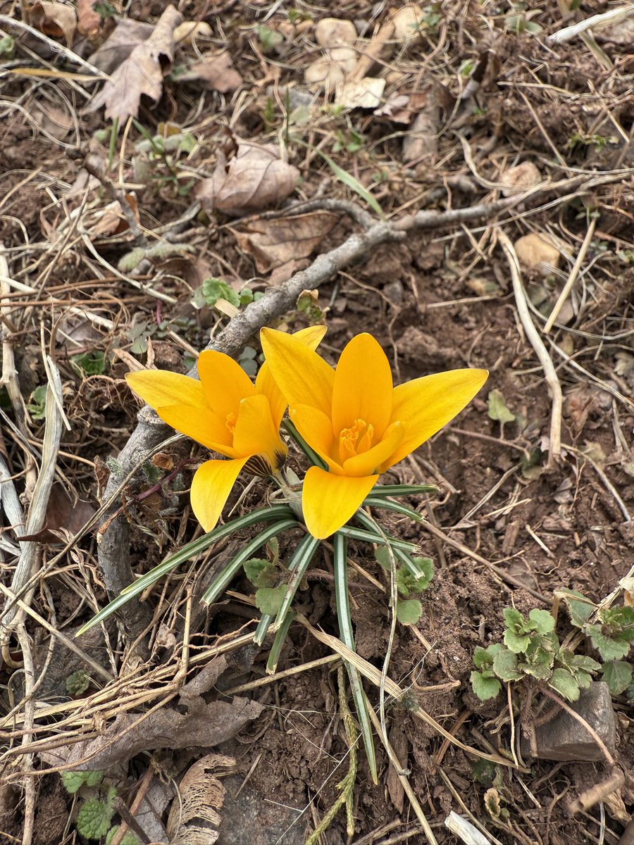Spring is here…