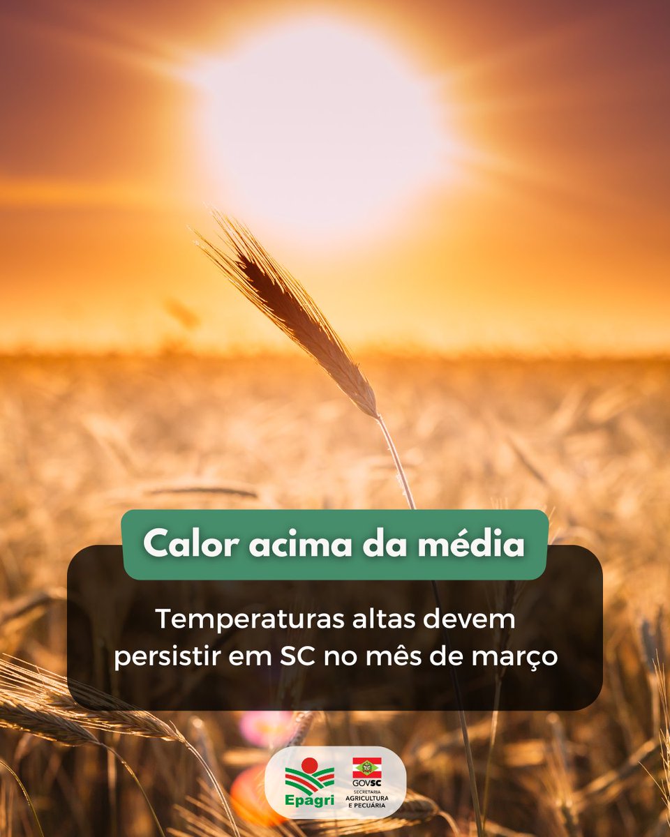 ☀️Ainda vamos passar bastante calor no mês de março em SC.

👉 De acordo com a Epagri/Ciram, neste mês ainda teremos massas de ar quente, resultando em dias consecutivos de calor intenso.

➡️Leia: x.gd/aPL3qprevisãod…