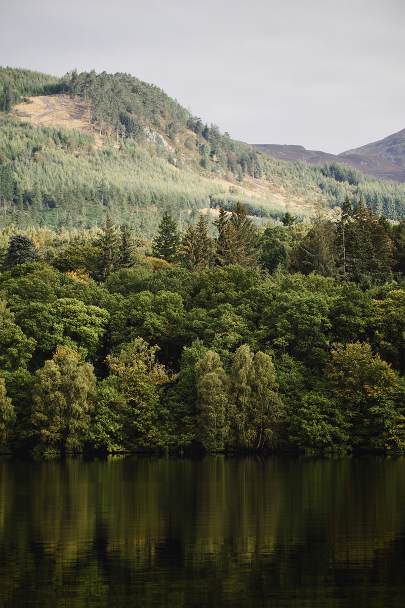 kylebonallo's tweet photo. The River Tummel, Pitlochry #Scotland https://t.co/aOsP7gMgu4 https://t.co/rhv48CahQR