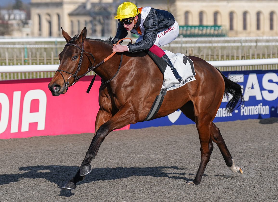 AUDUBON PARK 🇫🇷 a clear class above at #SaintCloud on the first day of the turf season.

Bigger and better things on her horizon for <a href="/GraffardRacing/">𝐅𝐫𝐚𝐧𝐜𝐢𝐬-𝐇𝐞𝐧𝐫𝐢 𝐆𝐫𝐚𝐟𝐟𝐚𝐫𝐝</a> who described the race as a "good opportunity" for her to Equidia.

Entries in the Penelope (G3) &amp; Diane (G1).