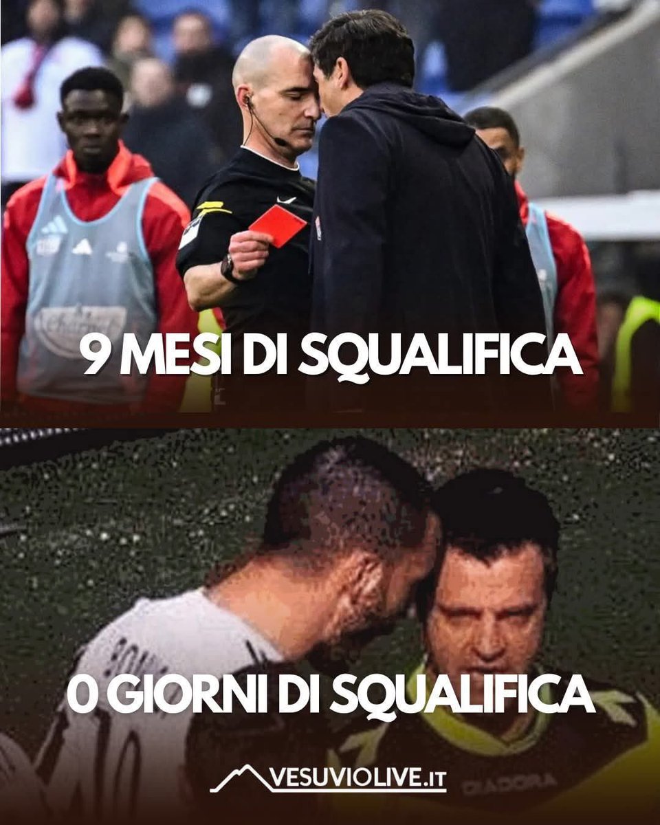 Alex Buccino tweet media