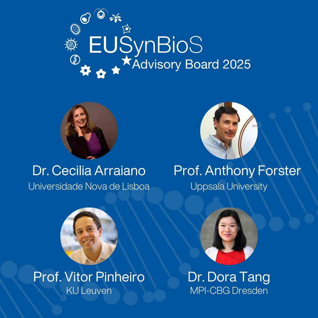 EUSynBioS's tweet image. ✨ We are thrilled to introduce our 2025 Advisory Board after our bi-annual meeting!⁣
We are grateful these leading #SynBio scientist are guiding and suppporting the #EUSynBioS mission.

👉 Want to know more?linkedin.com/feed/update/ur…