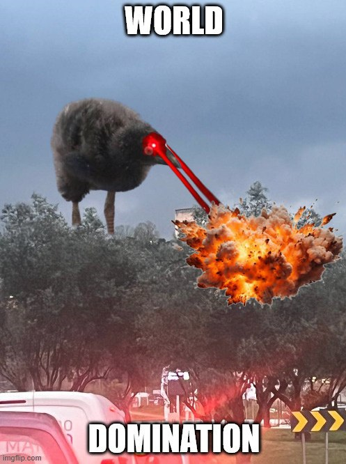 Birdificatiooon's tweet photo. Sooner than you think
$BIRD
#BIRDIFICATION https://t.co/6AwJ8WquCk