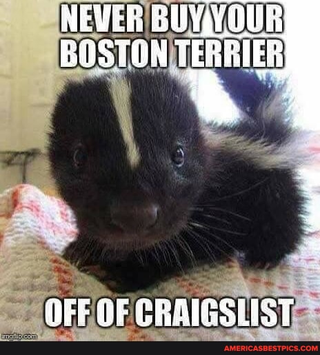 ChadHolm1's tweet photo. #never #buv #vour
https://t.co/InIWX1NlOx
#AmericasBestPicsAndVideos https://t.co/LQNoyHELlG