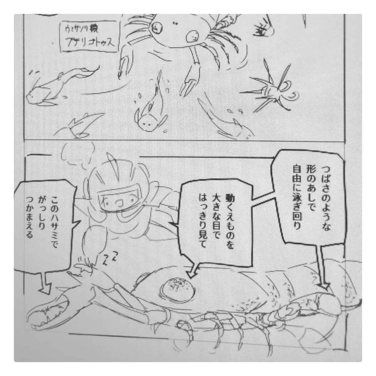 この子はプテリゴトゥスという種。
古生物の名前は学名まんまで覚えづらい…

こういう時は由来から覚えよう!
調べると、「翼を持つ魚」という意味だそうです。

翼ってことは、プテラノドンの「プテラ」と一緒かな?どうやら当たりっぽい。

新しい学びが、手持ちの知識が繋がる感じ。嬉しいね。🦥 