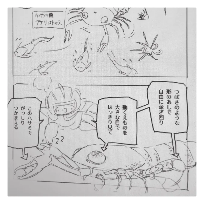 この子はプテリゴトゥスという種。
古生物の名前は学名まんまで覚えづらい…

こういう時は由来から覚えよう!
調べると、「翼を持つ魚」という意味だそうです。

翼ってことは、プテラノドンの「プテラ」と一緒かな?どうやら当たりっぽい。

新しい学びが、手持ちの知識が繋がる感じ。嬉しいね。🦥 