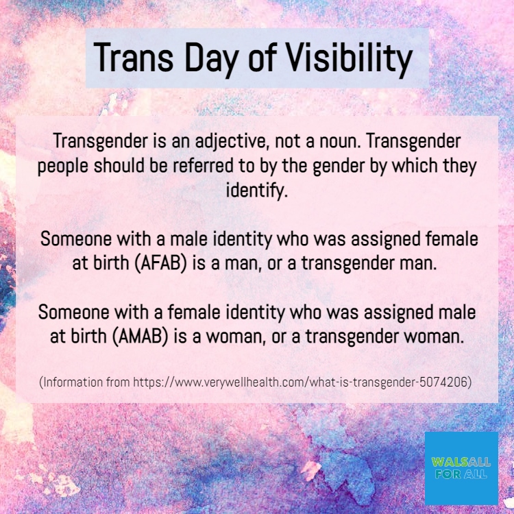 walsallforall's tweet image. On #TransDayOfVisibility you can be an ally to the community by learning about transgender identities #TDOV #WalsallForAll