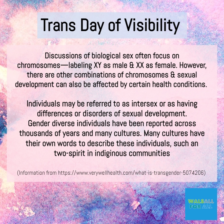 walsallforall's tweet image. On #TransDayOfVisibility you can be an ally to the community by learning about transgender identities #TDOV #WalsallForAll