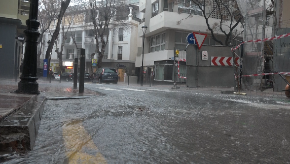 RTV Marbella tweet media