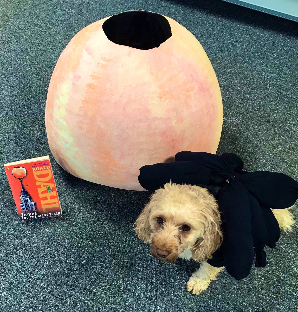 MissWheelhouse1's tweet photo. Happy #worldbookday2025 everybody! 📚✨ https://t.co/PnLpPDwyHC