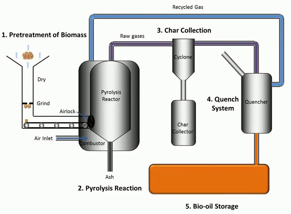GoNaturalEd's tweet image. 🔥Pyrolysis heats animal manure to a high temperature (400 to 800°C) in an oxygen-free environment.  💩 The manure breaks down into three main products: biochar, bio oil, and syngas. bit.ly/408Q9Mx #pyrolysis #manure #cows #biochar #syngas