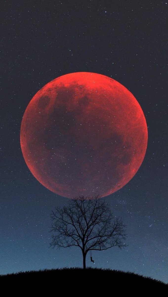 MOON LOVER (@m1onlover) on Twitter photo 