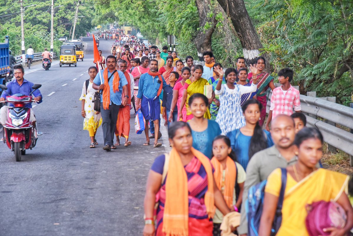 JOHNDAV22433486's tweet image. அய்யா வைகுண்டரின் 193-வது அவதார தினத்தன்று குமரி மாவட்டத்தில் உள்ள அய்யாவழி பக்தர்கள் அதிகாலையில் நாகர்கோவிலில் இருந்து தலைமைபதி சாமிதோப்புக்கு குடும்பமாக நடந்து சென்றனர்.