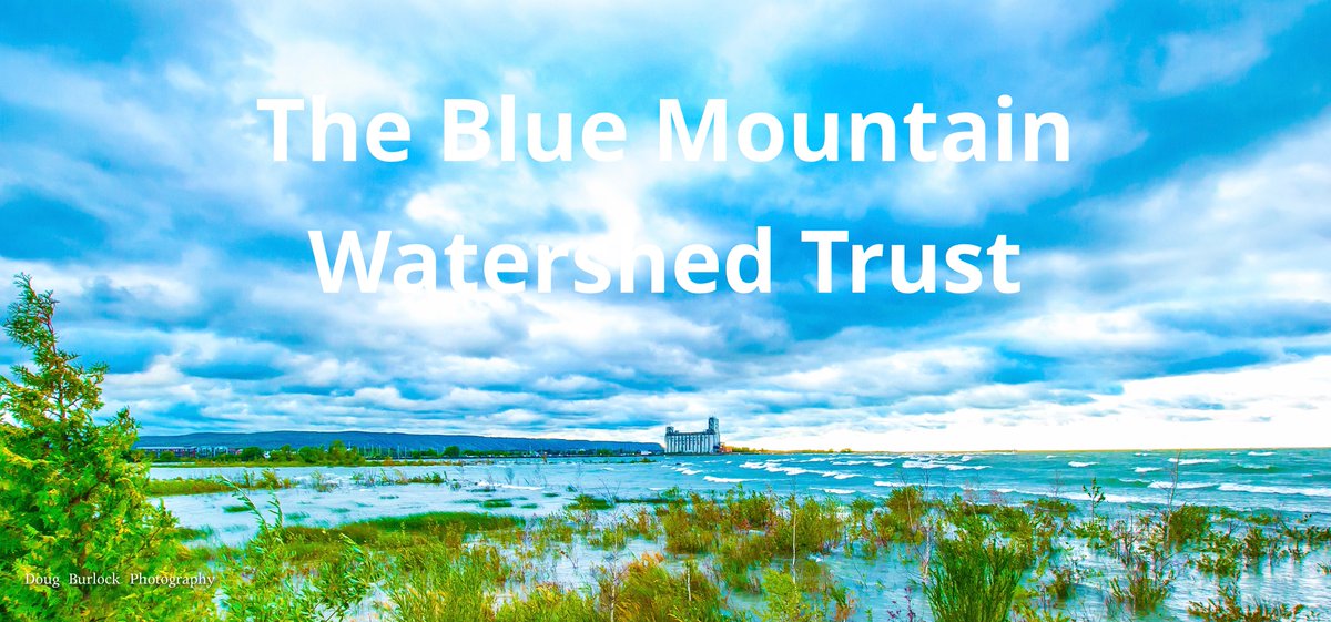 Membership Renewal with the Watershed Trust - mailchi.mp/0fb1a4990ed3/t…