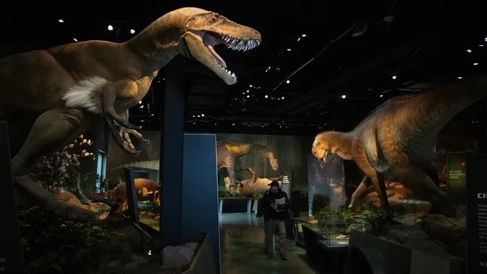 TM9380's tweet photo. Wow, I was not aware of just how beautiful the models for the upcoming Edelman Fossil Park Museum were going to be. I already shared the Astrodon and  Acrocanthosaurus, apparently there’s way more… https://t.co/LMI8g5tT39