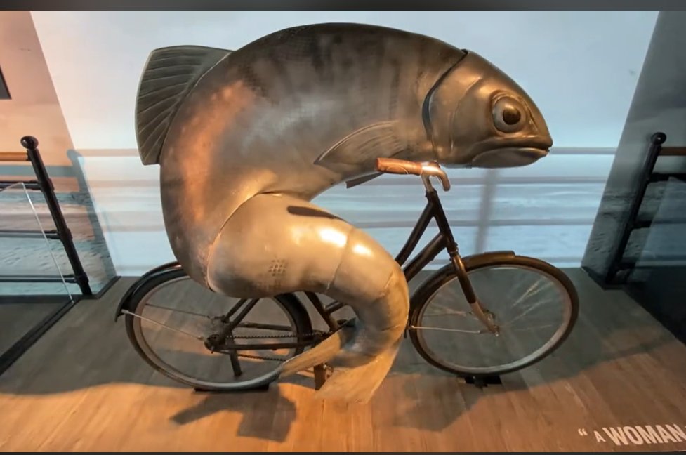 bishbiking fish

71CTyL83cH7VMBSPqgvQh7vvyiRtgJXZoV3kjnS4pump