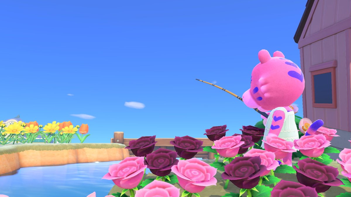 ウリ　どぐろう　サントス　チーフ　マリリン

#あつまれどうぶつの森 #あつ森 #ACNH