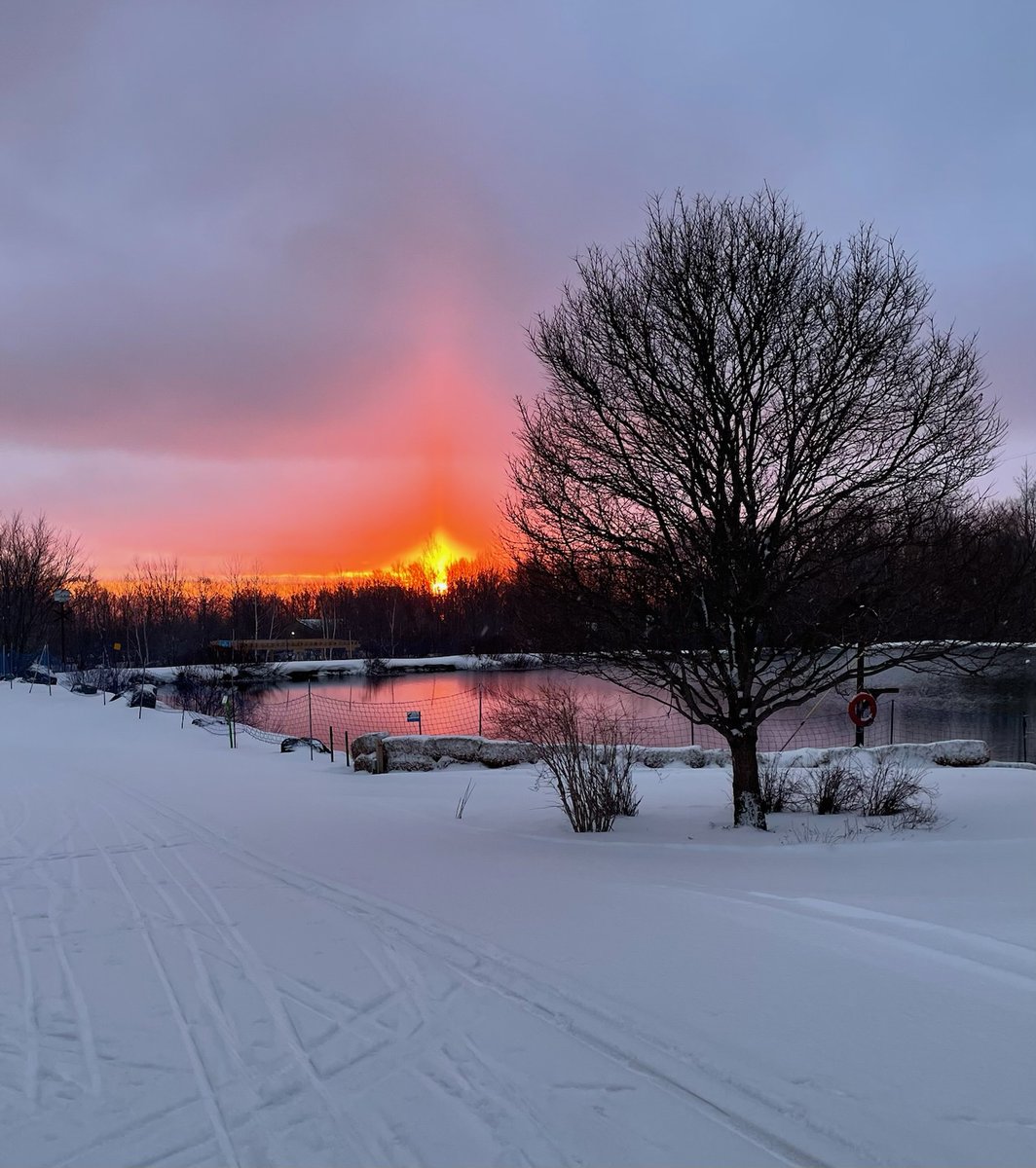 Rise and shine and get a jump start on the day!

Join us for a sunrise day out on the trails, cross country skiing or snowshoeing. Head to your favorite lookout on the trails to catch the sunrise!

Every Wednesday and Friday during March the Nordic Centre will open at 7am.