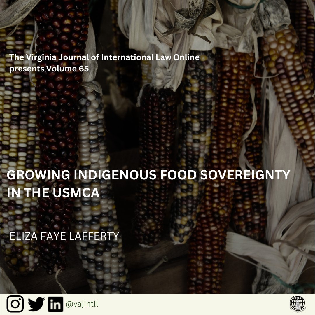 VJIL Online presents Vol. 65! You can read
<a href="/ElizaLafferty/">Eliza</a>'s latest piece linked below:  

“Mexico is home to fifty-nine native corn varieties, which Indigenous Peoples have cultivated for thousands of years...“  

vjil.org/growing-indige…